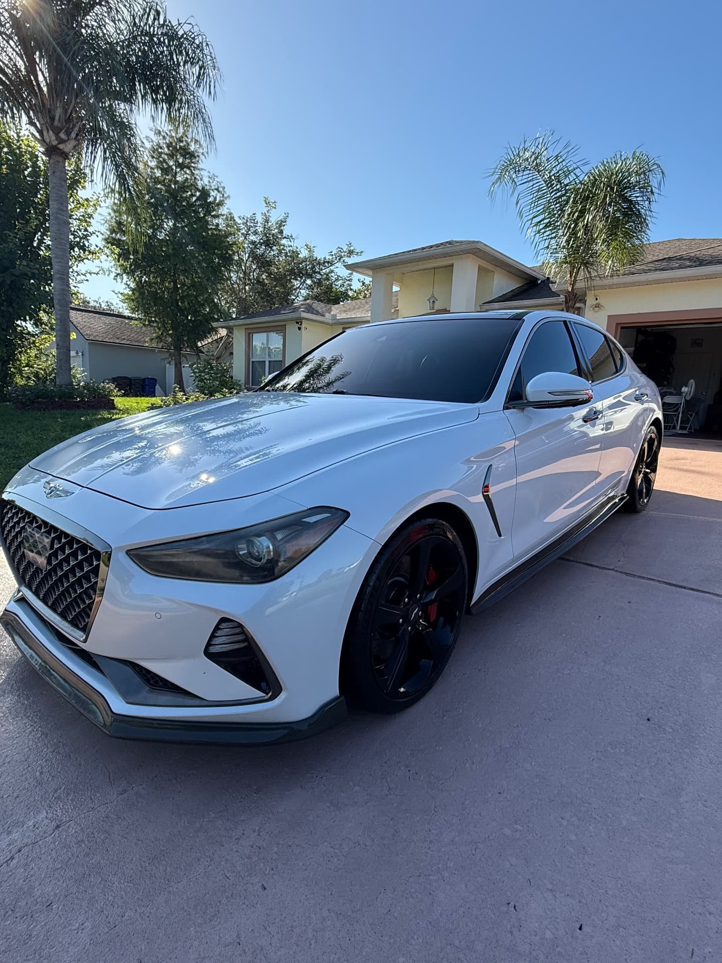 White Genesis after premium exterior detailing by Obsidian Auto Spa